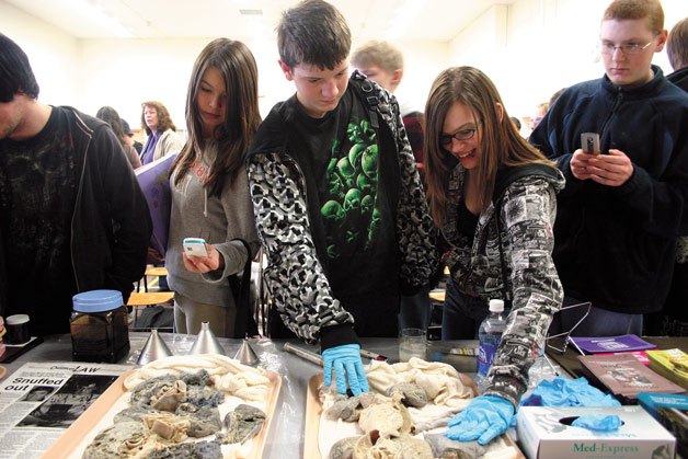Ninth-graders Jake Britton and Amie Sewell examine unhealthy lungs following Wednesday’s presentation by Colleen Williams. Surrounding students take photos with their cell phones.