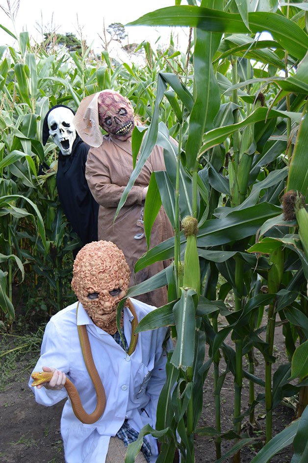 Coupeville High School’s drama troupe will be haunting the corn maze at Engle Farm on select nights this month as part of the Haunting of Coupeville.