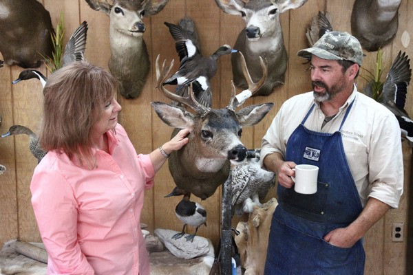 Joan Klope pats a black-tailed deer mounted in “full sneak” position by husband Matt Klope at Oak Harbor’s Whidbey Island Taxidermy.