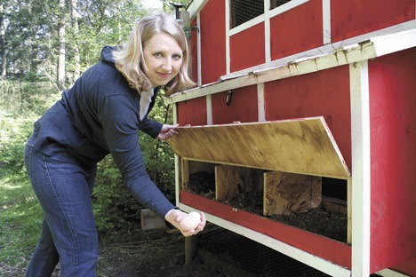Kate Romero lifts the lid and reaches for eggs in her family’s innovative urban chicken coop near Coupeville