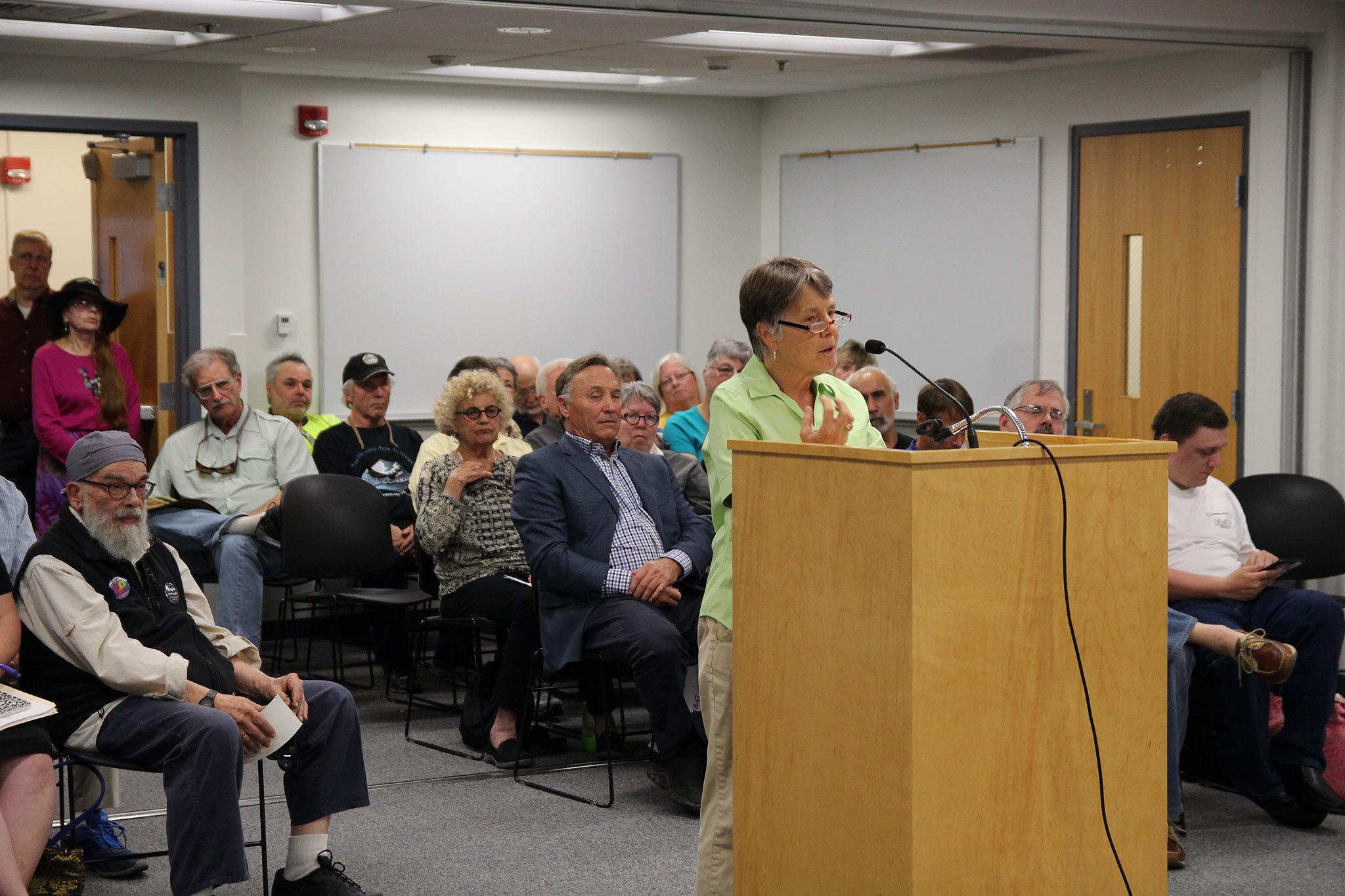 Members of COER ask the Island County Board of Health at a meeting earlier this year to take action to protect the community from noise generated by Navy aircraft. File photo/Whidbey News-Times