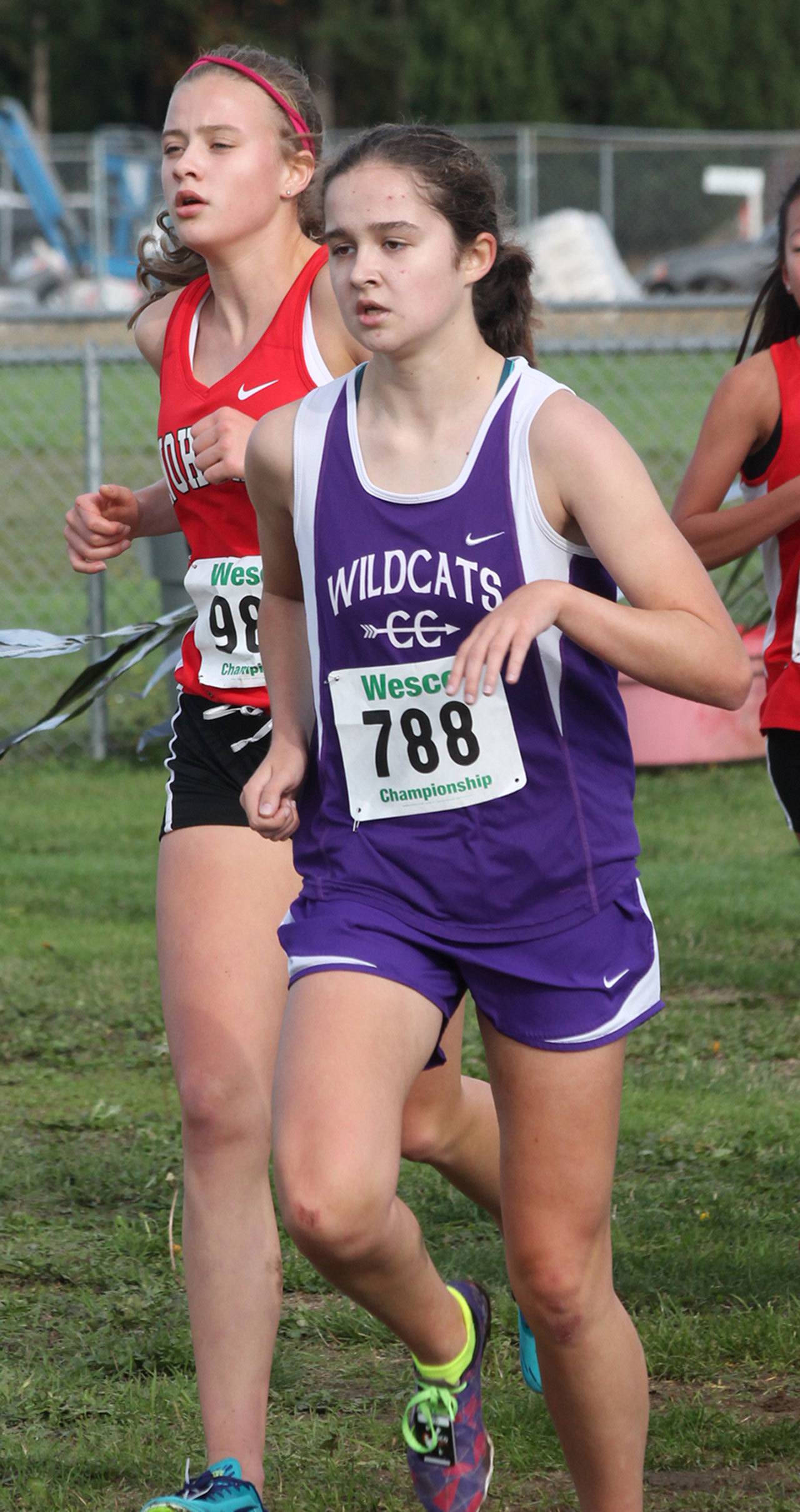 Smith paces Wildcats at state meet / Cross country