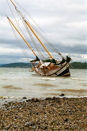 A grounded Cutty Sark waits for the incoming tide to right her again after breaking away from a mooring buoy and floating just north of Captain Whidbey Inn on Penn Cove.
