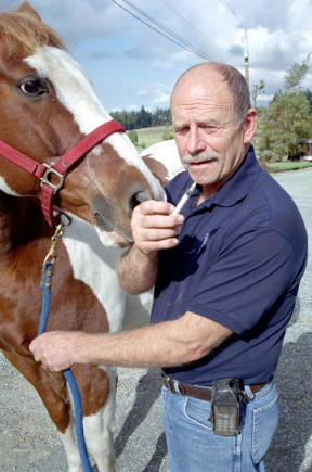 Oak Harbor Veterinarian Kent Freer prepares to give his own horse