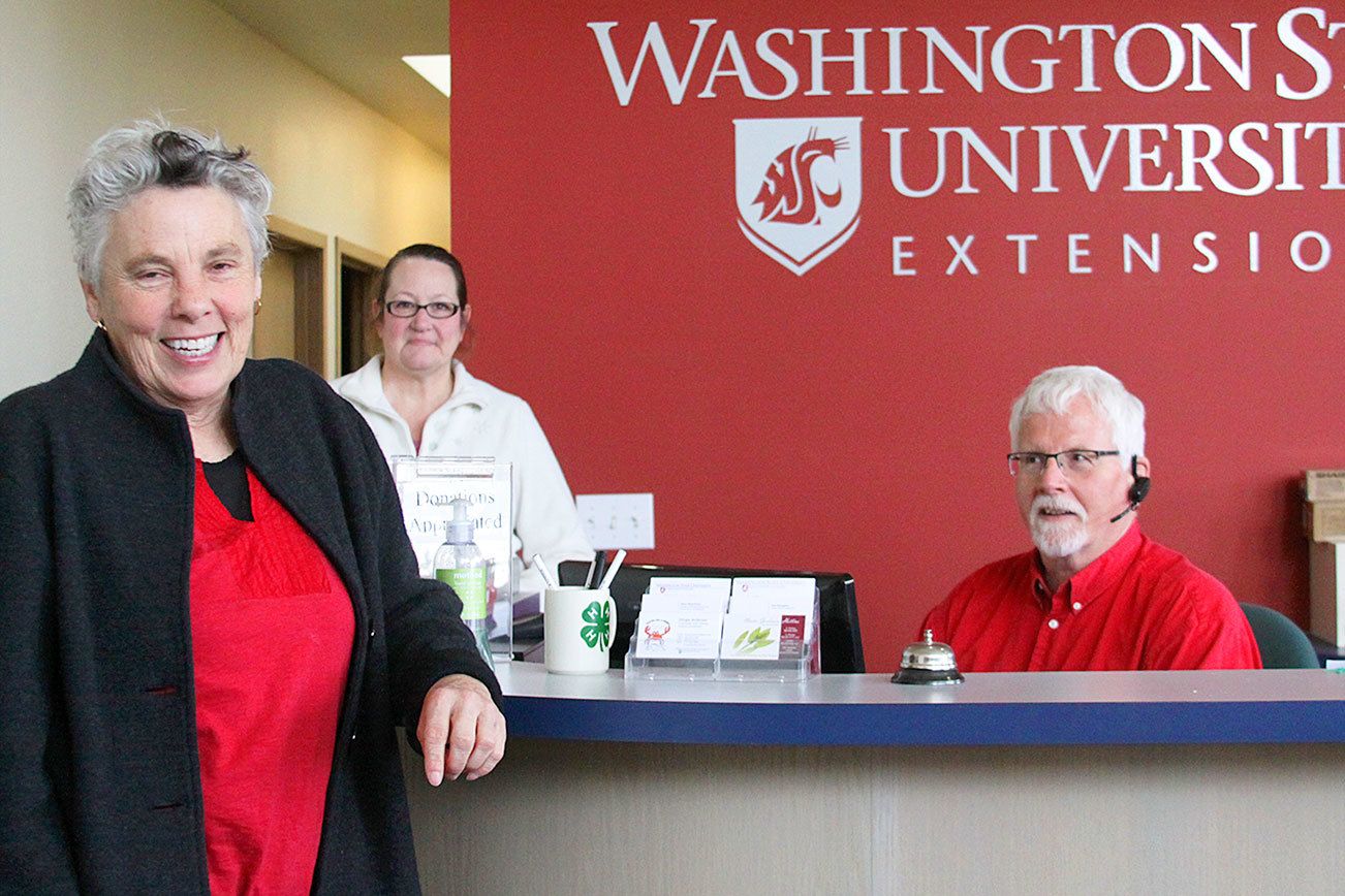 Anza Muenchow, left, Pam Bishop and Stinger Anderson are enjoying the confines of the new Washington State University Island County Extension office. The office moved only about a block in Coupeville but is more spacious and visible to visitors. Photo by Ron Newberry/Whidbey News-Times
