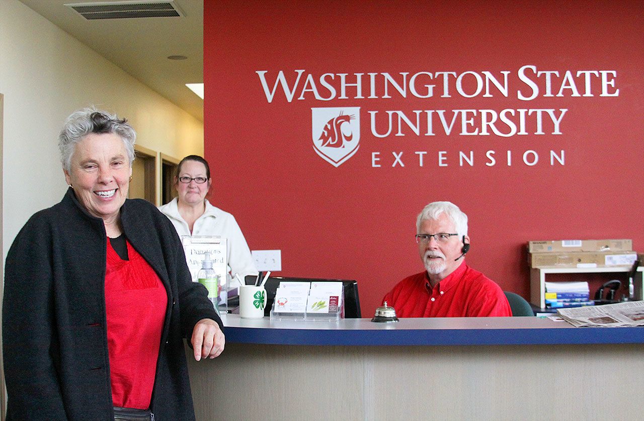 Anza Muenchow, left, Pam Bishop and Stinger Anderson are enjoying the confines of the new Washington State University Island County Extension office. The office moved only about a block in Coupeville but is more spacious and visible to visitors. Photo by Ron Newberry/Whidbey News-Times