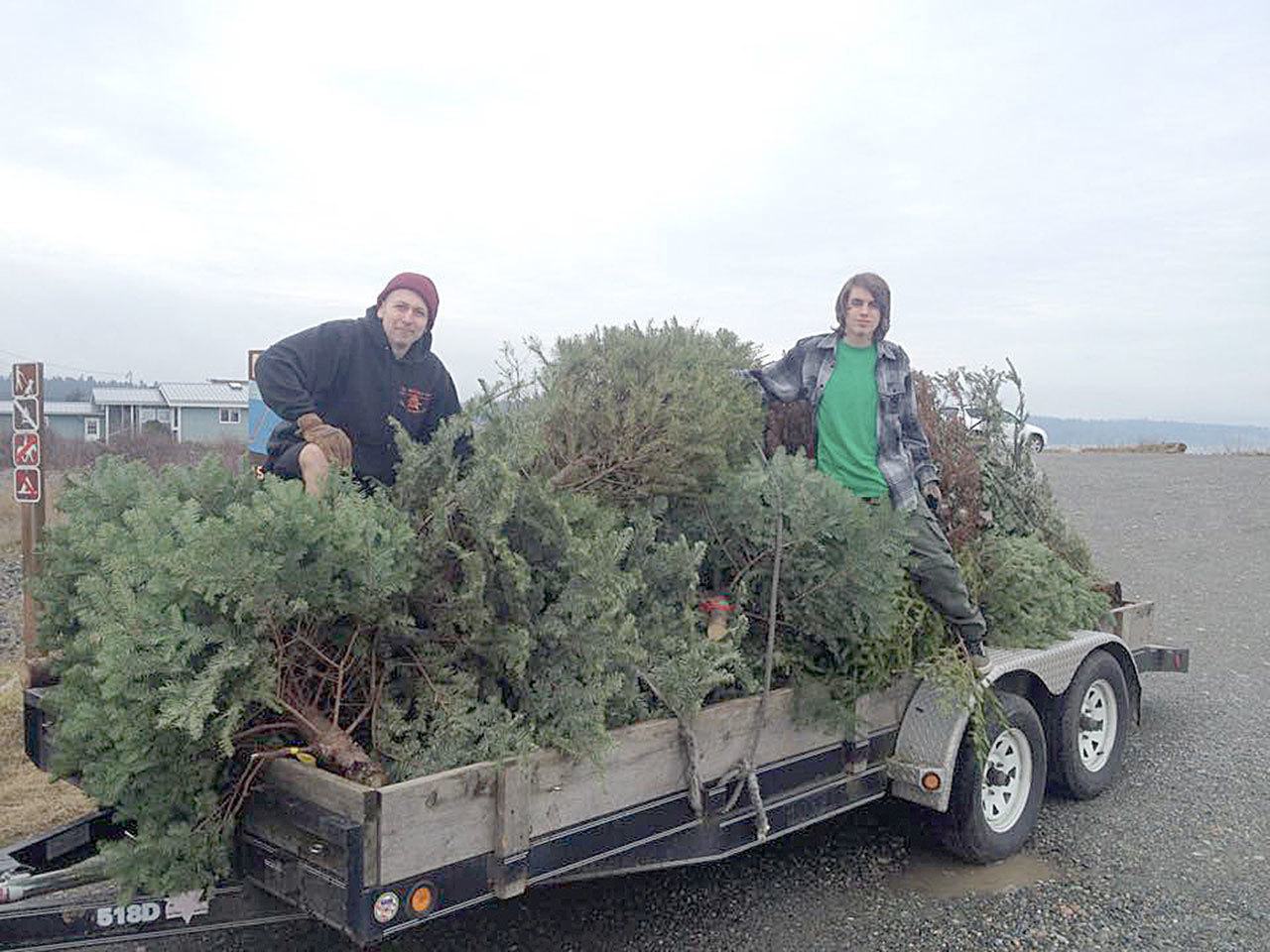Photo provided by Angi Carlson                                After retrieving used Chirstmas trees from local residents, former Boy Scouts of Coupeville Troop 4058 Cody Menges, at left, and Dominique Norberg climb a trailer full of discarded trees in order to make them fit for the trip to the Coupeville dump, where they were to be recycled in the “clean green” section of the facility.
