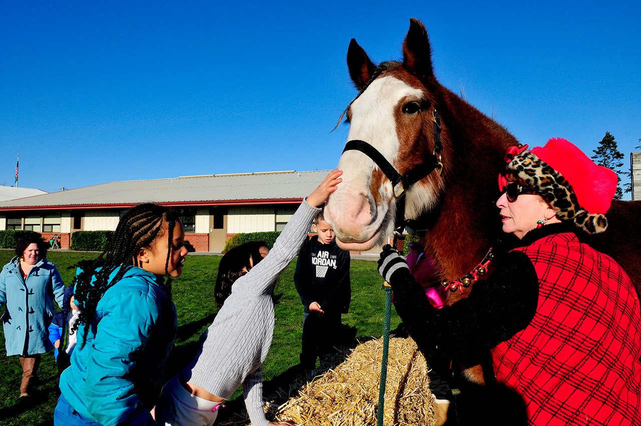 Photo by Michael Watkins/Whidbey News-Times                                A Clydesdale horse named Dakota and owner Ronnie Sitko make an appearance for school children at the Oak Harbor Christian School in Oak Harbor, Dec. 16, 2016.