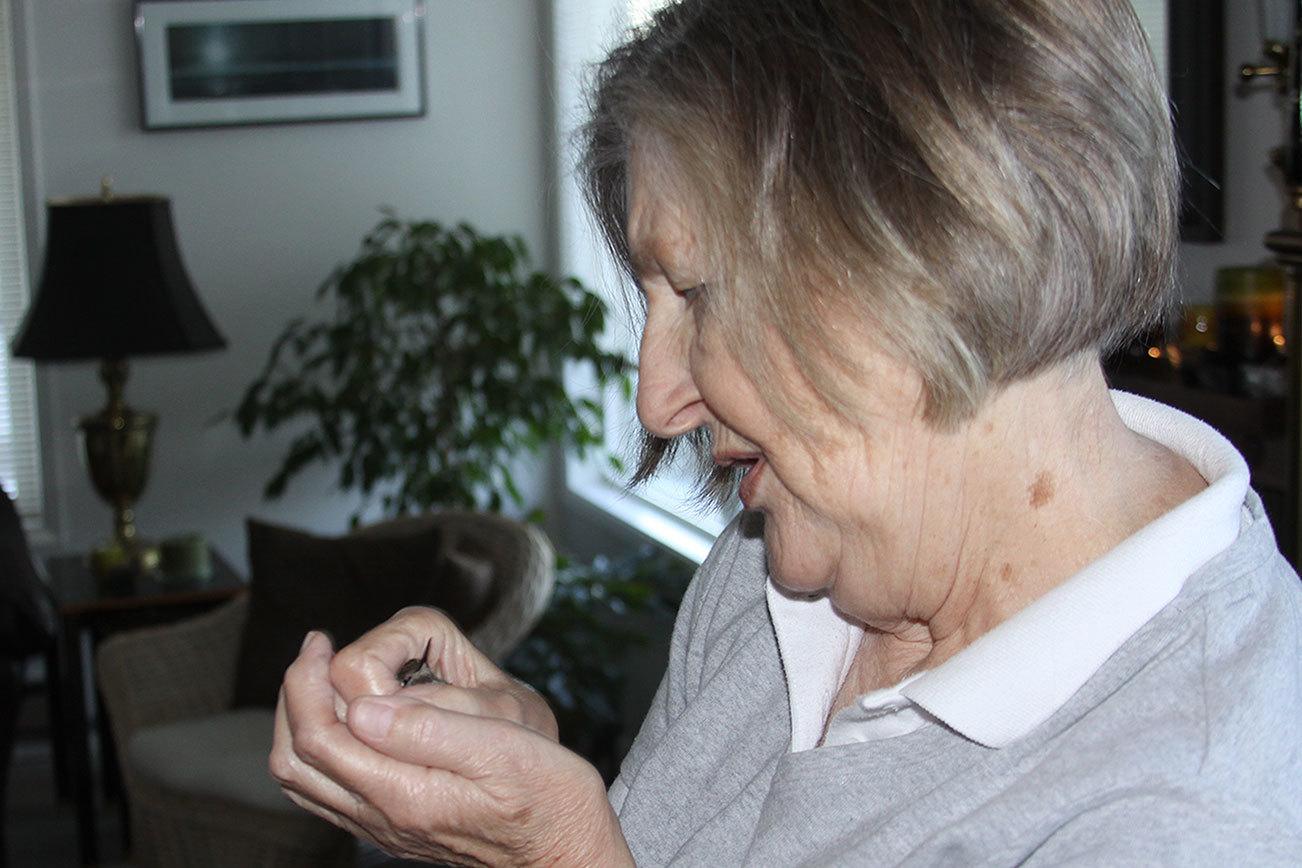 Coupeville couple has its hands full with hummingbirds