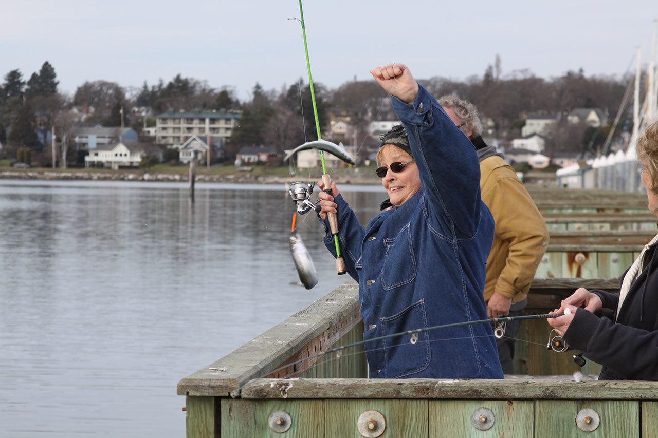 Cheryl Wieldraayer of Oak Harbor hooks into two untargeted fish — a juvenile Chinook salmon and a herring — while fishing for smelt Thursday, Jan. 26, 2017 at the Oak Harbor Marina. She tossed both of them back. Photo by Ron Newberry/Whidbey News-Times