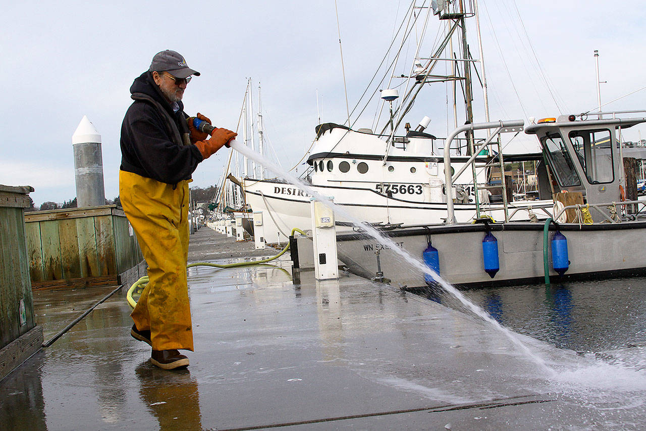 Photo by Ron Newberry/Whidbey News-Times                                A City of Oak Harbor employee sprays down a walkway at the Oak Harbor Marina in late January. The daily exercise keeps the docks free from seagull droppings.