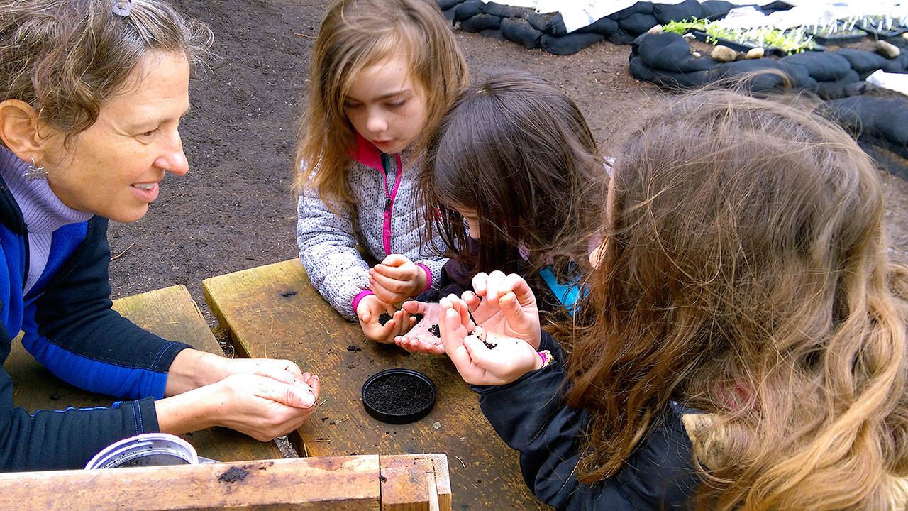 Waste Wise Coordinator Sara Berquist, left, shows Carlie Padgett, center, and classmates Taylor Wadlin and Capri Anter the worms for Olympic View Elementary School&rsquo;s compost bin. Photo provided by Krista Hanson-Walker