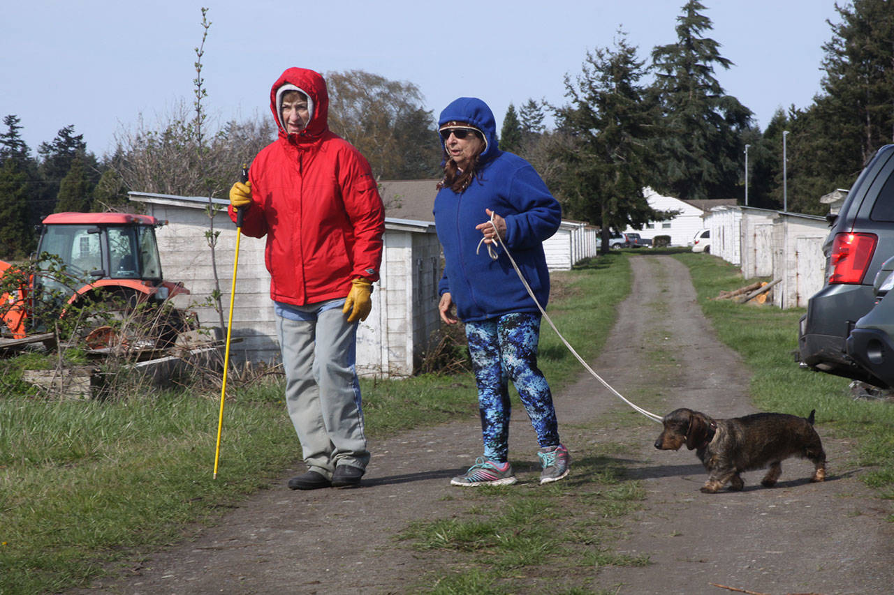 The Cascade Dachshund Club holds field training at the Pacific Rim Institute for Environmental Stewardship near Coupeville Sunday. Photo by Ron Newberry/Whidbey News-Times