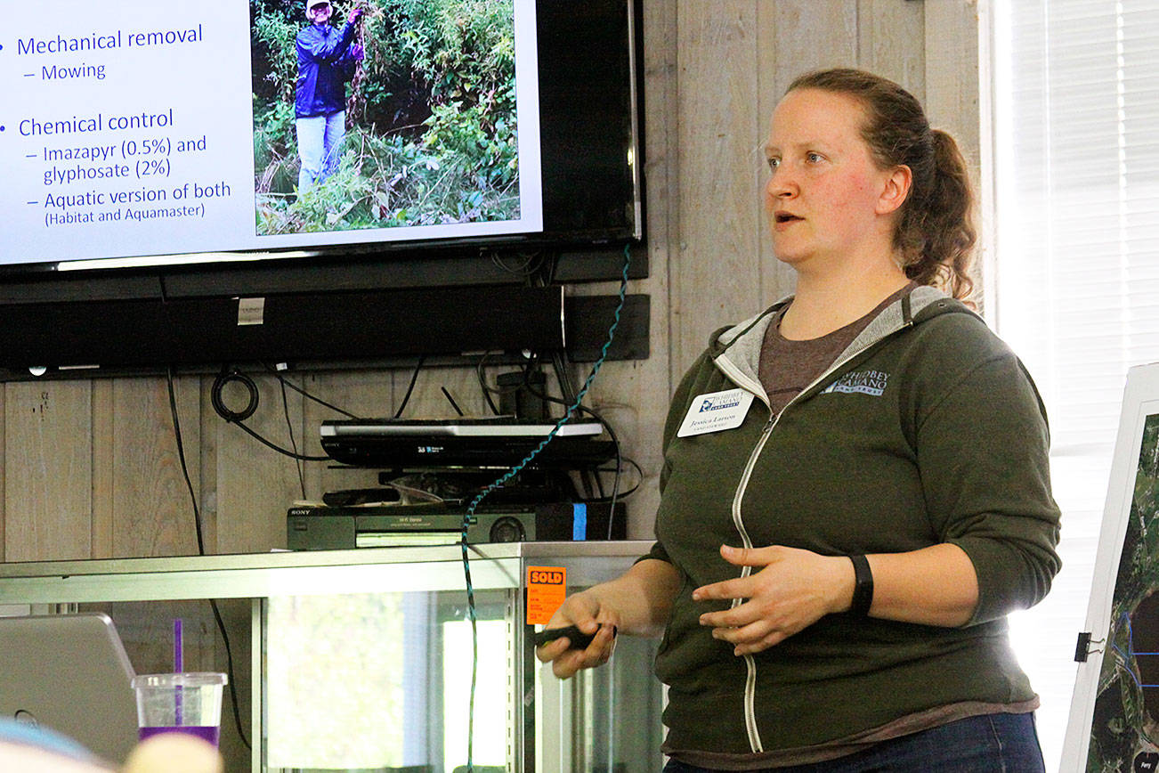 Jessica Larson, land steward for the Whidbey Camano Land Trust, speaks to residents near Crockett Lake Thursday, April 27, 2017, about a plan to eradicate noxious weeds near the lake over the next three years. The main culprit is hairy willow-herb, which grows on more than 100 acres near Crockett Lake, making it the worst infestation in Washington state. Photo by Ron Newberry/Whidbey News-Times