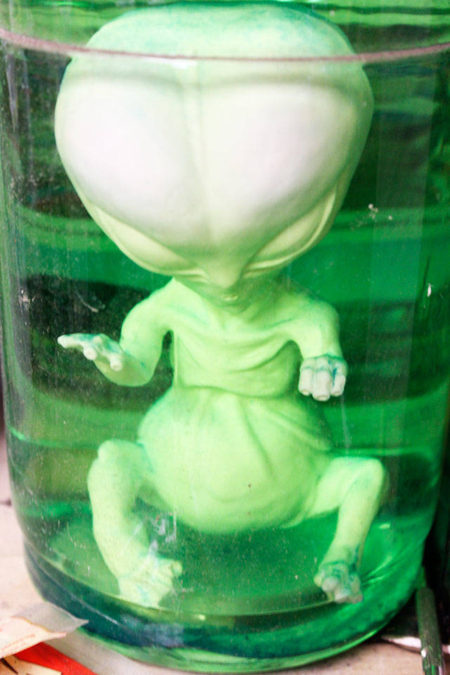 This alien showed up one day at Coupeville’s household hazardous waste area and coordinator Gene Clark saved it for his collection of weird and wacky waste.