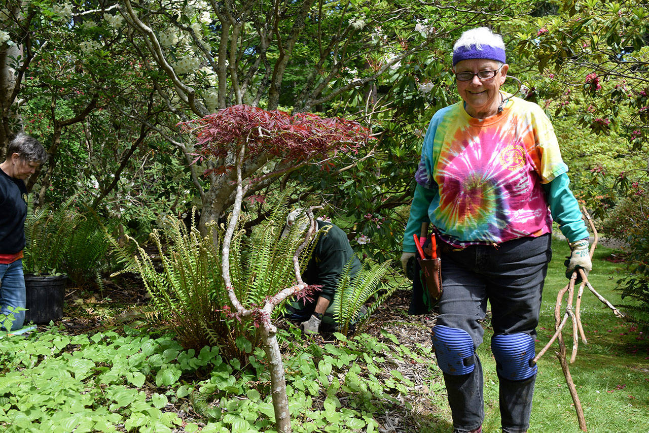 Photo by Kyle Jensen / Whidbey News Group — Volunteer Arlee Anderson wears a tie-dye shirt most Thursdays mornings, an homage to the volunteer group’s name.
