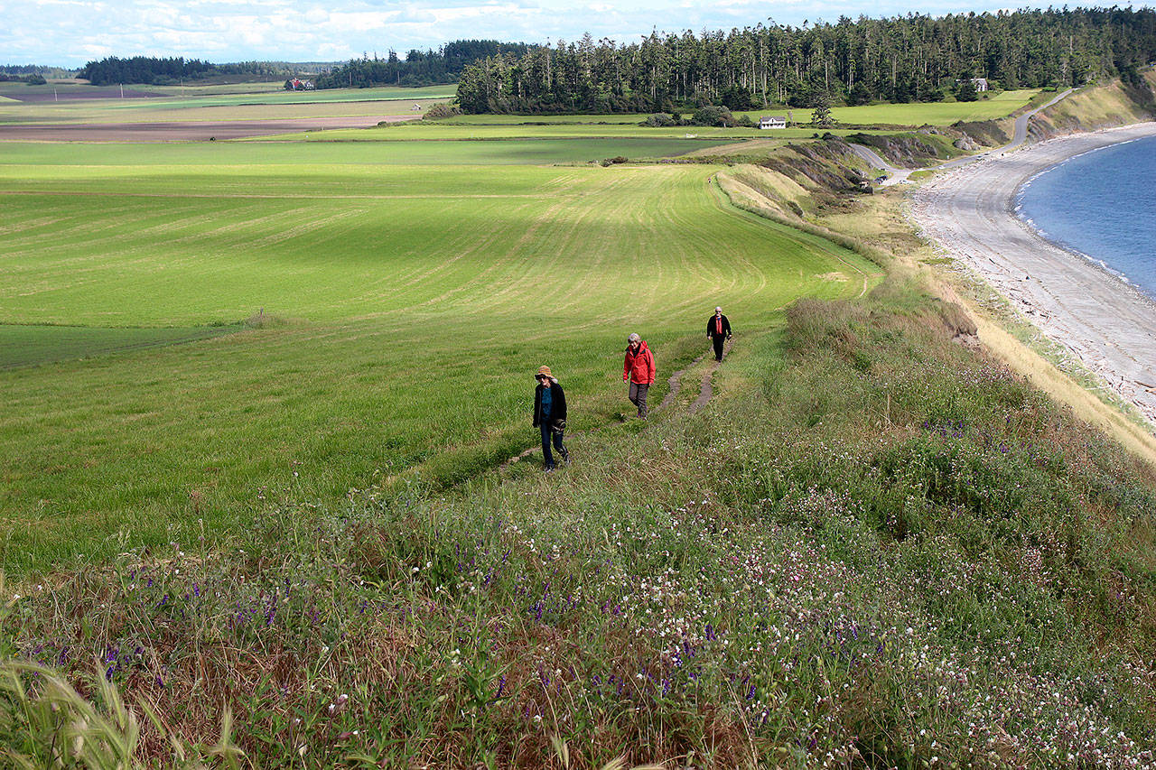 Photo by Jessie Stensland / Whidbey News Times                                Shirley Eigenbrot, left, is followed by Ann Cole, both from California, as they hike Thursday up the bluff trail at Ebey’s Landing.