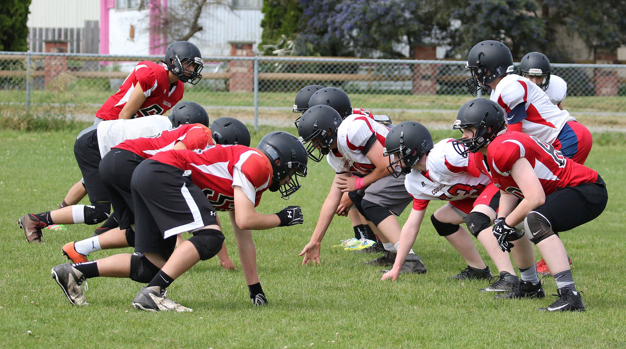 Wildcats, Wolves hit field for spring camp / Football