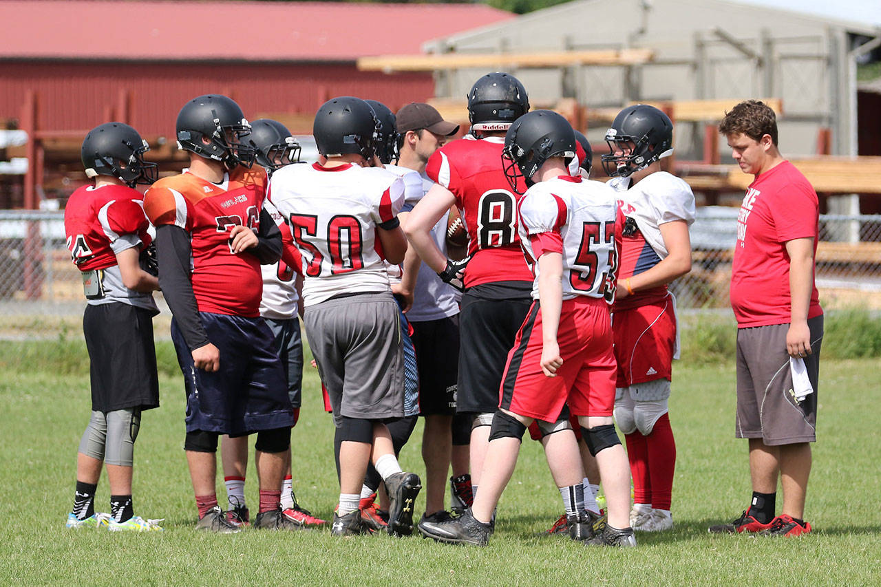 Wildcats, Wolves hit field for spring camp / Football