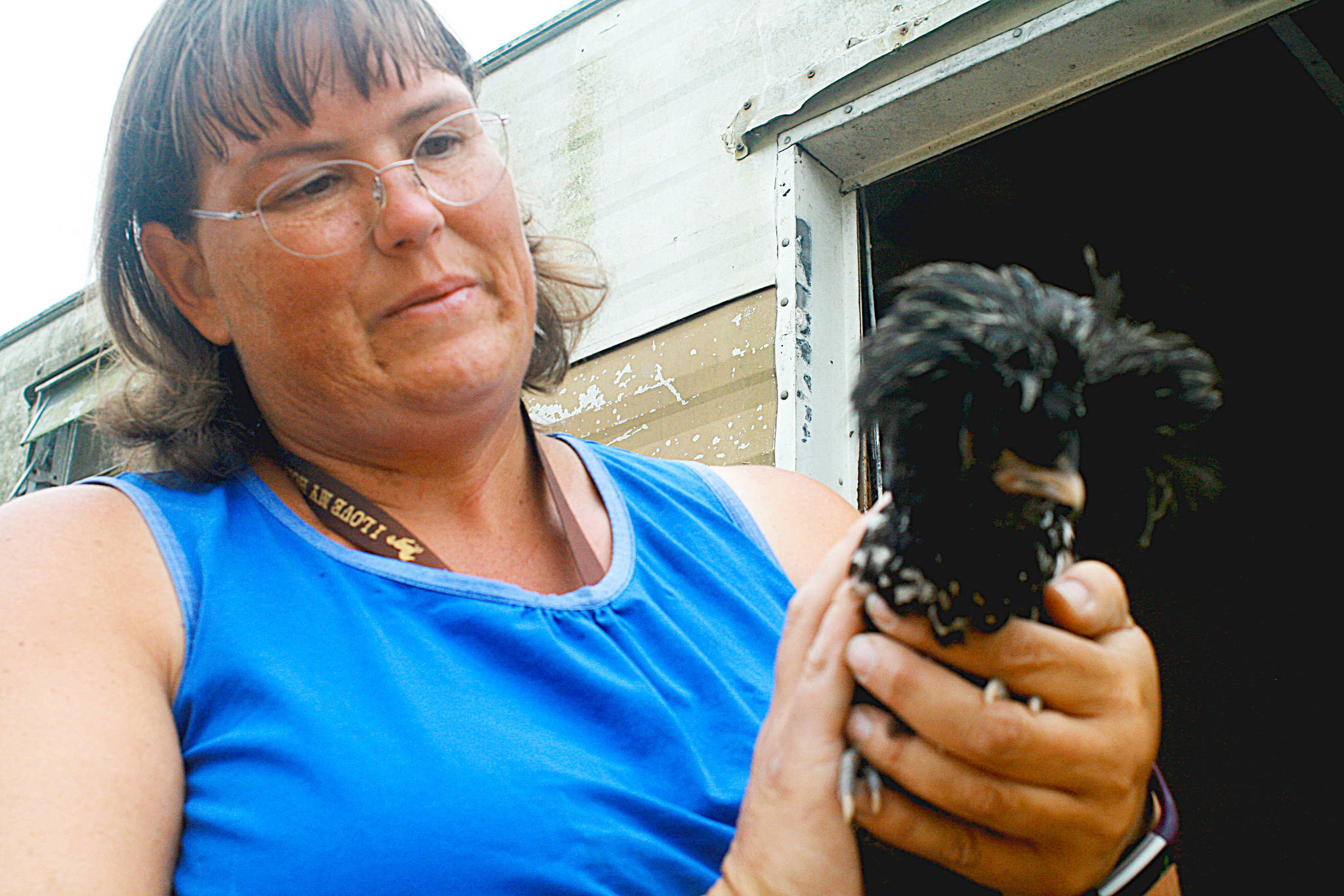 Shanna Flower holds one the Polish chickens she is considering timing to Whidbey Island Fair&rsquo;s petting zoo this Thursday. Flower will also lend lambs, ducks and rabbits to the zoo. Photo by Daniel Warn/Whidbey News-Times