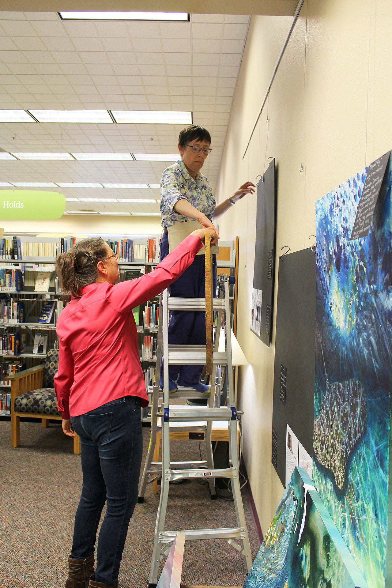 Tina Christiansen hangs her paintings at the Oak Harbor Library where she’ll be the featured artist through August. She’s assisted by librarian Nancy Luenn. Photo by Patricia Guthrie/Whidbey News-Times
