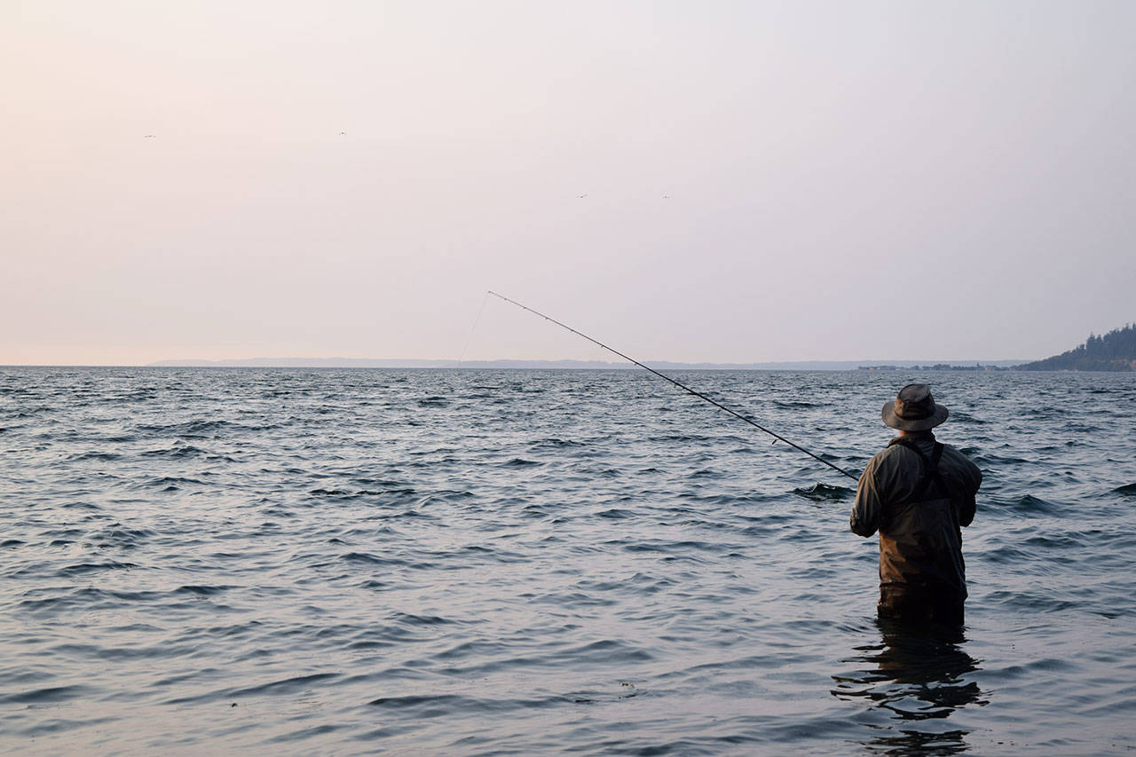 Kyle Jensen / The Record — An angler wades out to his hips to cast his line further into Puget Sound.