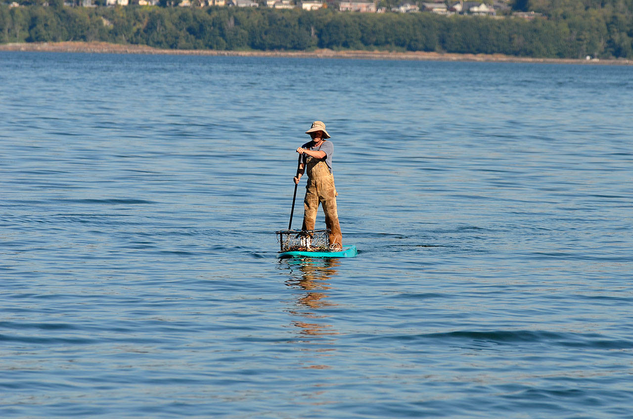 Justin Burnett / The Record — Clinton resident Jake Stewart paddles back to shore after retrieving his crab pot.