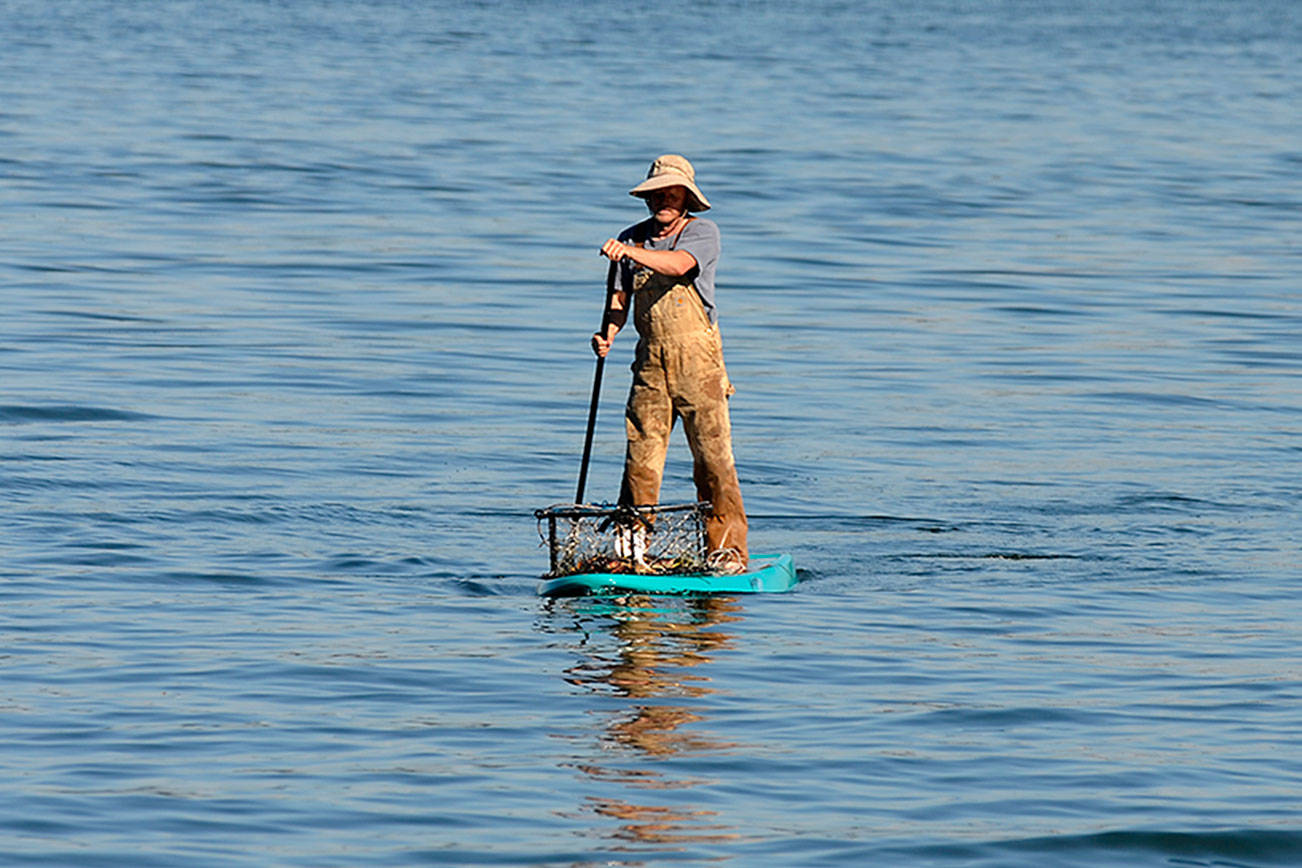 Paddleboarding: a stand-up way to see Whidbey’s waters