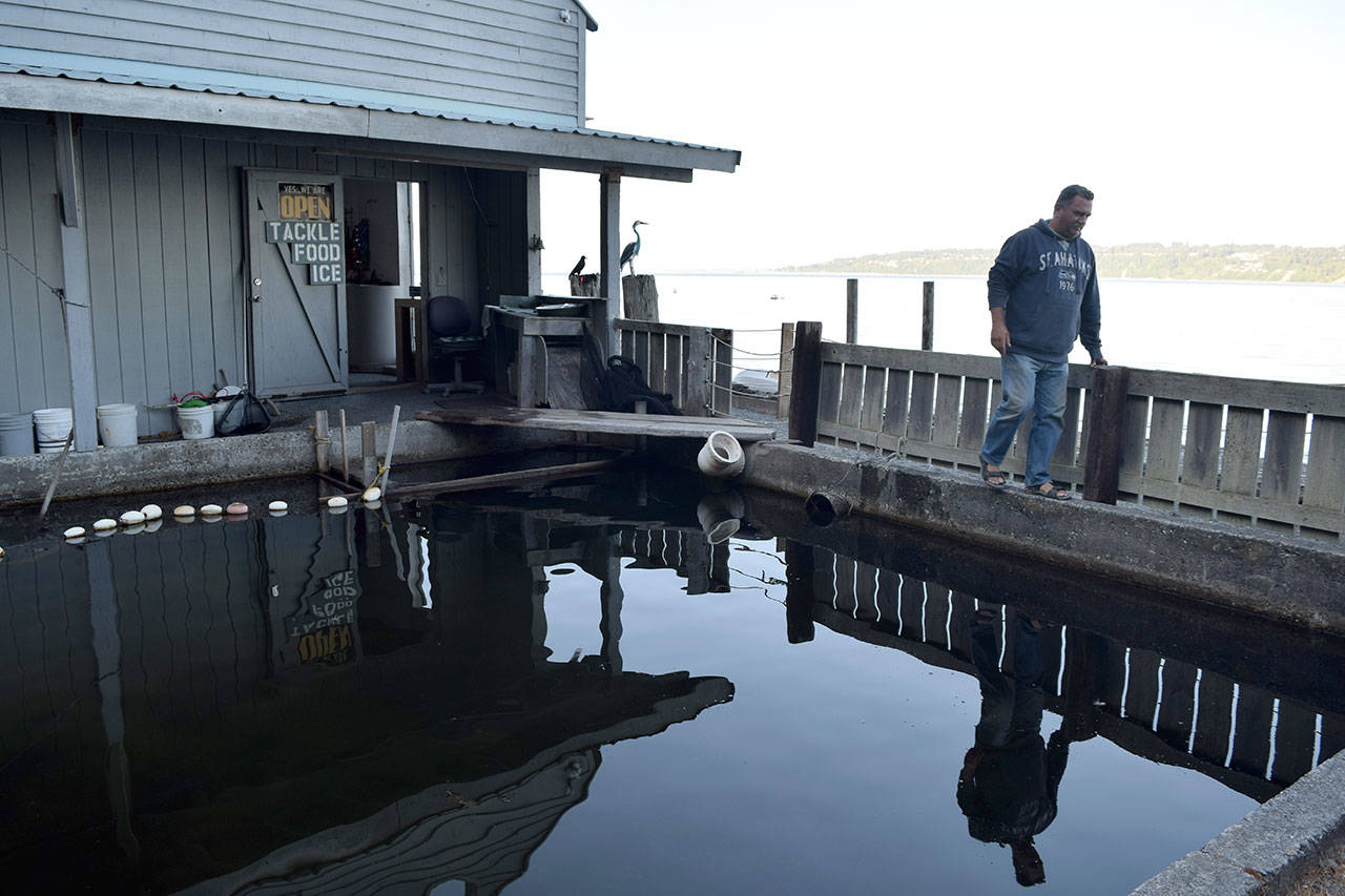 Kyle Jensen / The Record — Cooper walks along a pool that carries herring, the live bait his business sells.