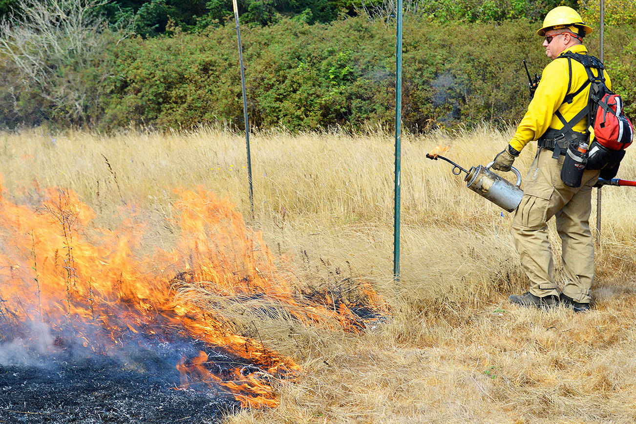 Fire-starters: Using flames to clear way for prairie’s native plants