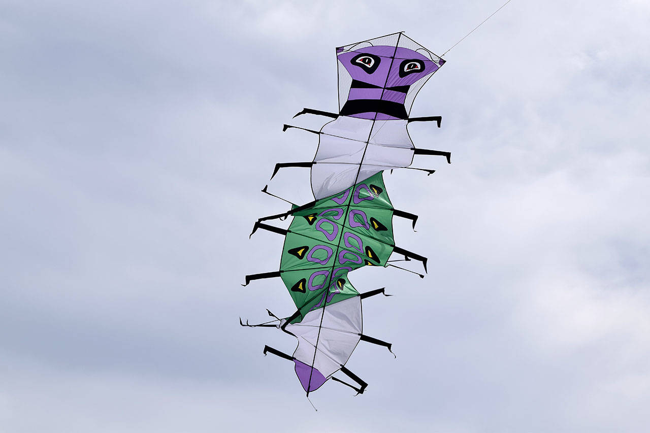 Kyle Jensen / The Record — Whidbey Island Kite Festival will feature a range of intricate kites, including those made by hand, such as this caterpillar with moving legs.
