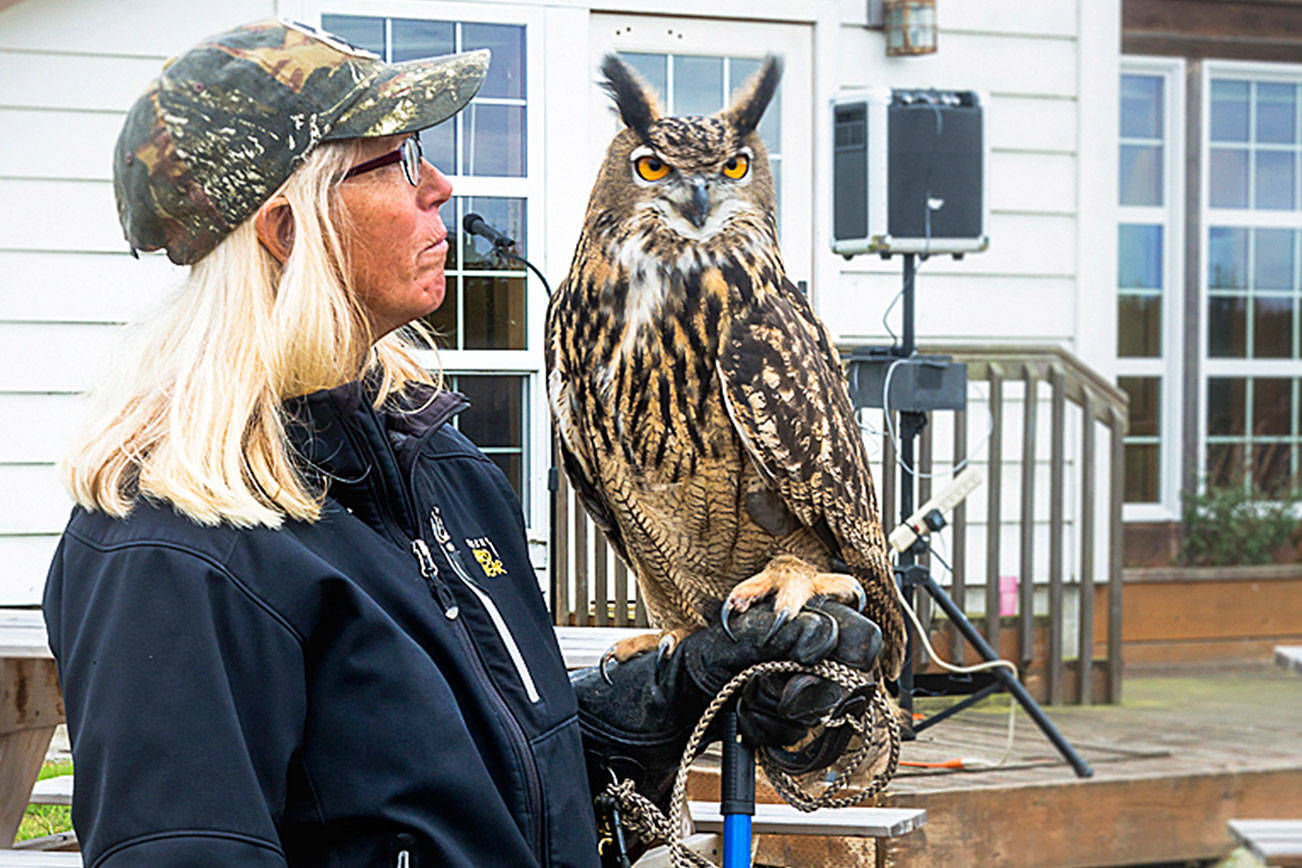 Birds of prey featured at annual Raptor Day in Coupeville