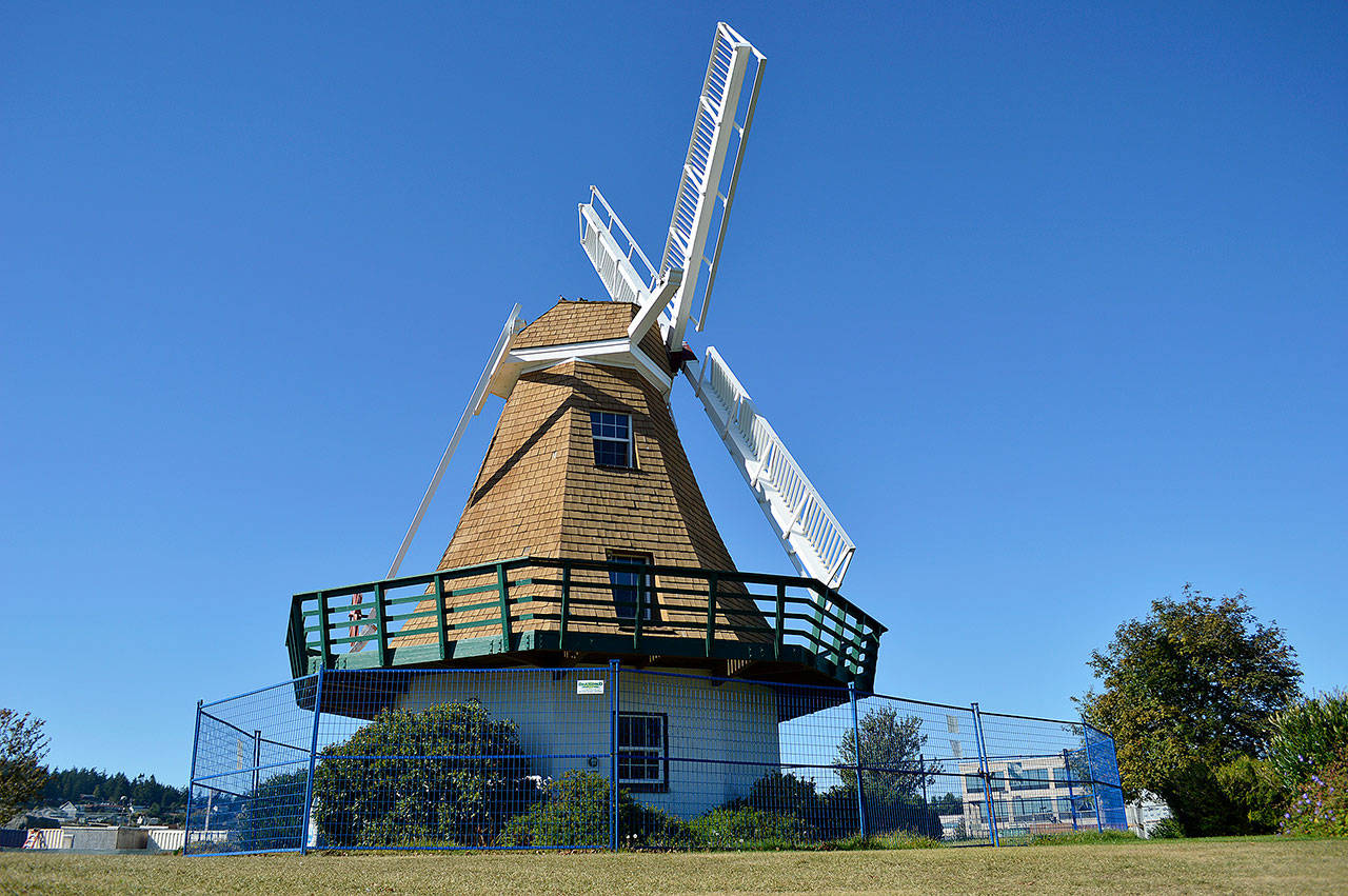 The iconic windmill at Windjammer park currently has a fence around it to protect the public from debris potentially falling off of the aging structure. The city council is in the process of determining what to do with it before the windstorms of winter increase the risk. Photo by Laura Guido/Whidbey News-Times