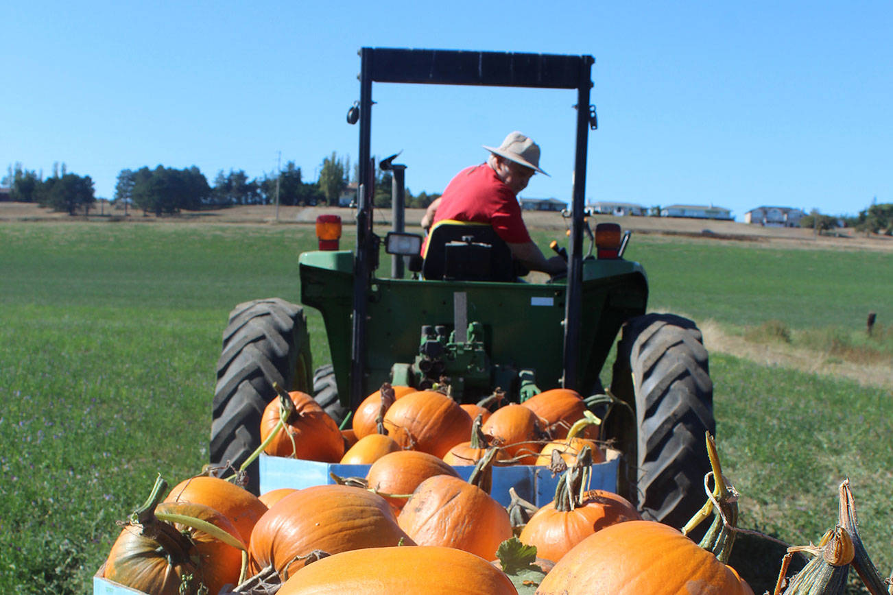 Piling on the pumpkins and sprucing up the barn