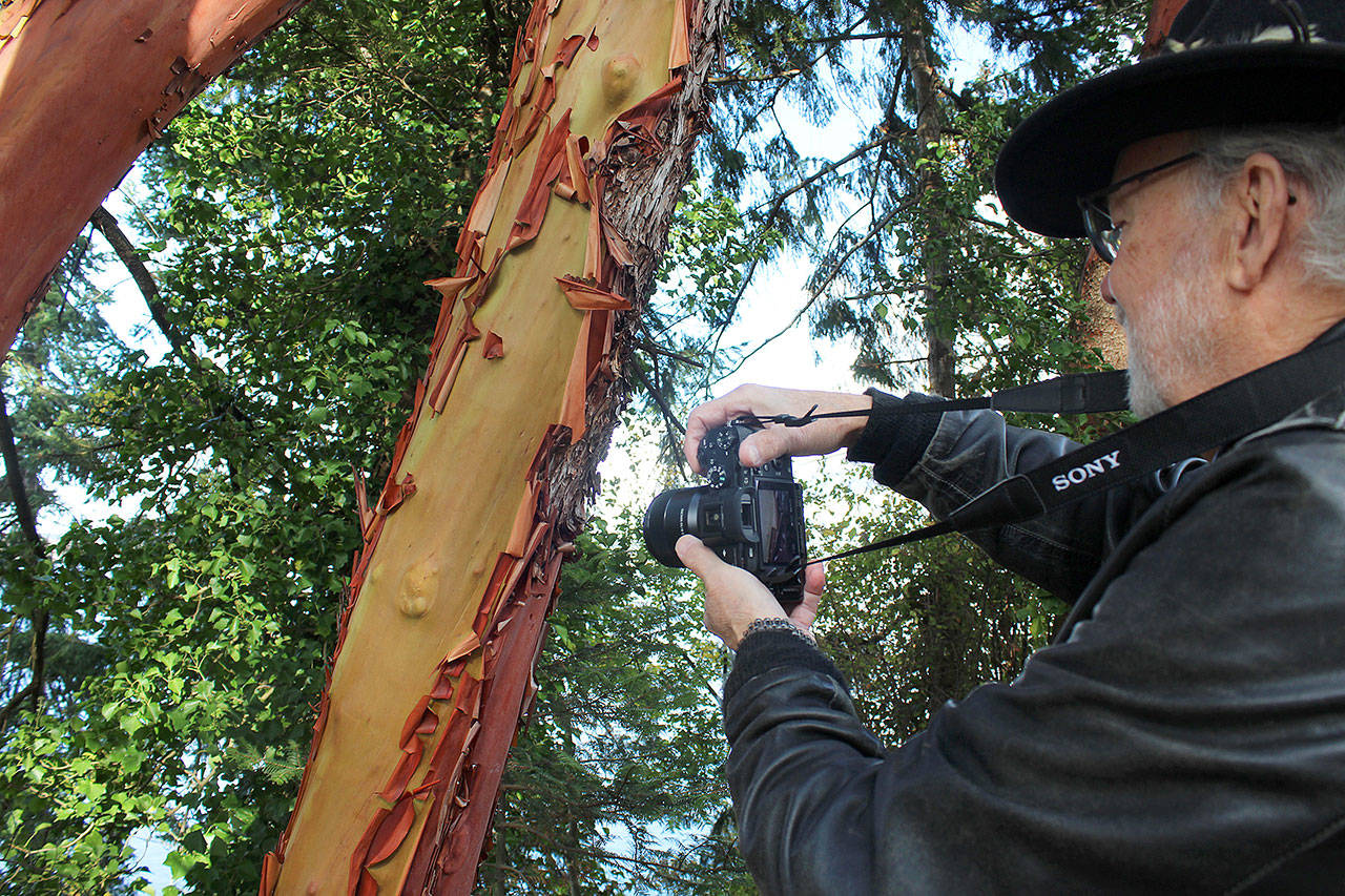 Denis Hill zooms in on peeling madrona trees recently above Penn Cove. Hills’ photography is featured this month at Artworks Gallery at Greenbank Farms. Photos by Patricia Guthrie/Whidbey News-Times