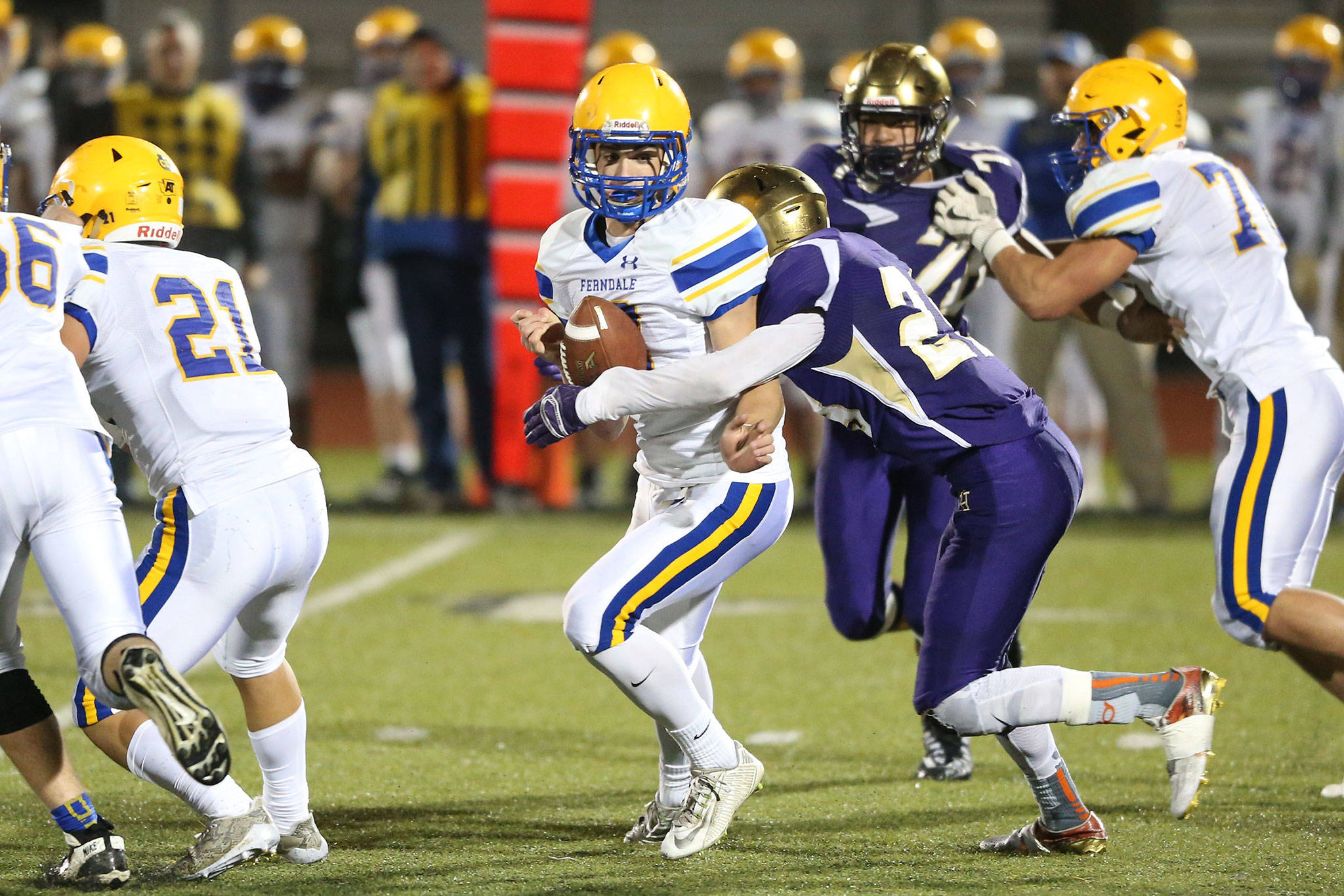 Photo by John Fisken                                Mac Nuanez completes a strip-sack of Ferndale quaterback James Hinson, causing a fumble recovered by Oak Harbor’s Michael Fisken.