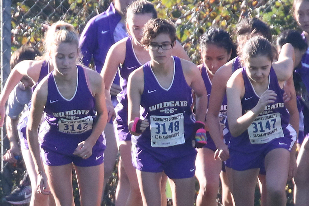 Four Wildcats, one Wolf qualify for state meet / Cross country