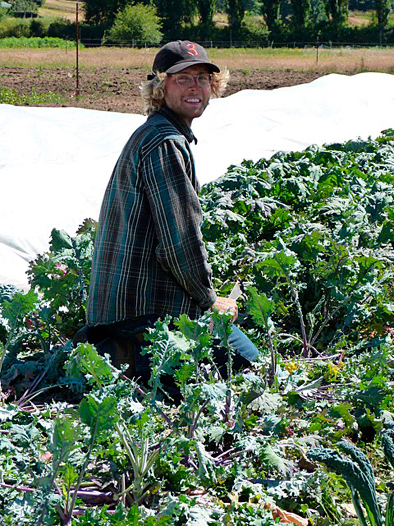 Contributed photo — Student Nick Conard works in the farm school’s kale garden.