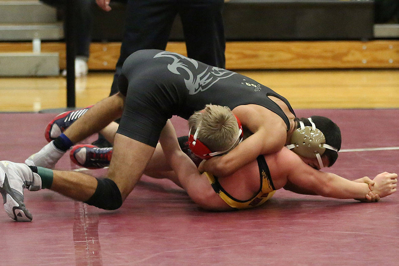 Fitzgerald takes first, Wildcats eighth at Morin Invitational / Wrestling