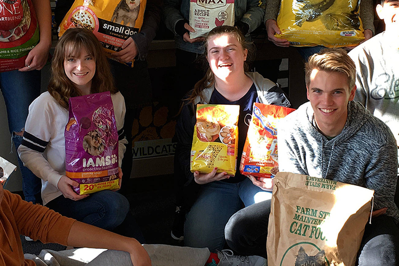 DECA students help pets in need for the holidays