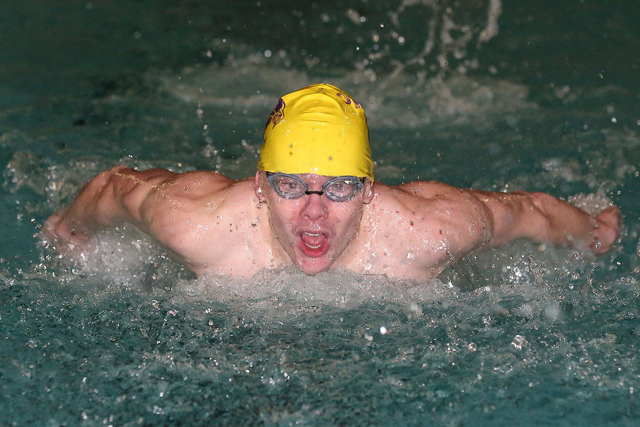 Bulldogs defeat Wildcats in final home meet / Swim and dive