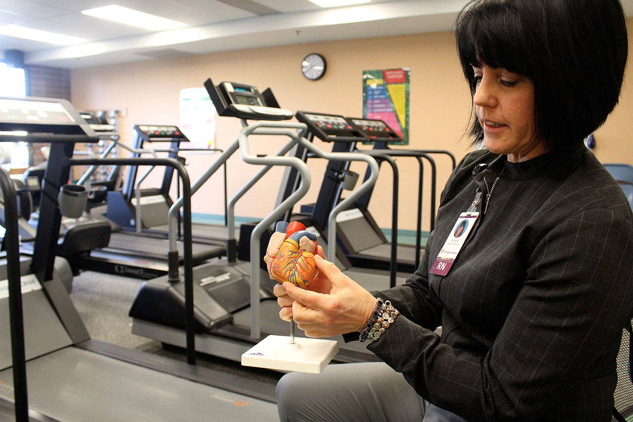 Using a model of a heart, WhidbeyHealth nurse Kyrstie Sinchak teaches patients about the chambers of the heart, coronary arteries and how blockages are formed as part of cardiac rehabilitation. Photo by Patricia Guthrie/Whidbey News-Times