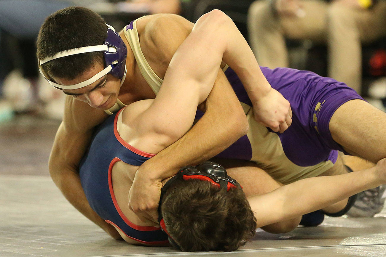 Wildcats knocked out of state meet / Wrestling