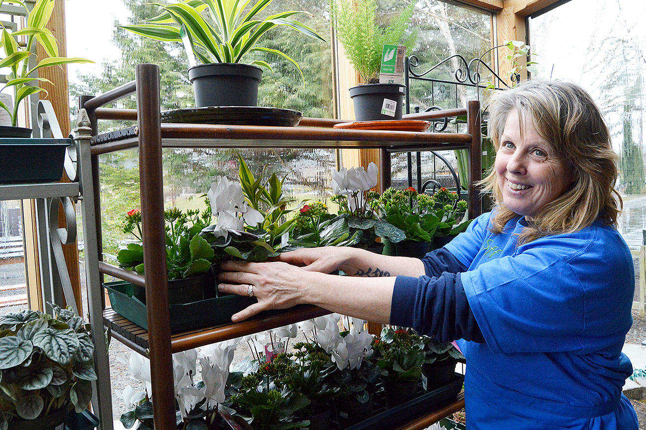 New nursery in Coupeville blooming with energy