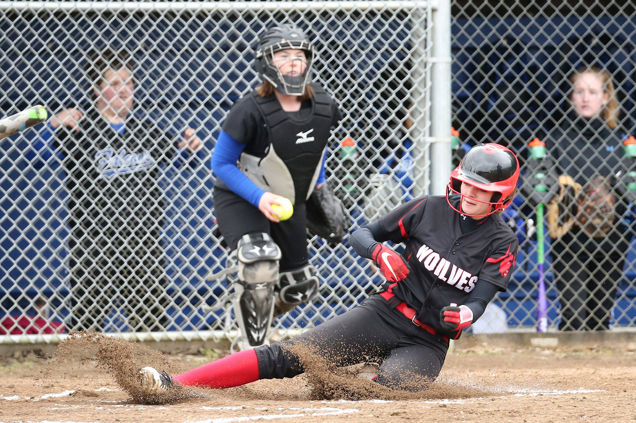 Wolves roll to 12-0 win in opener / Softball