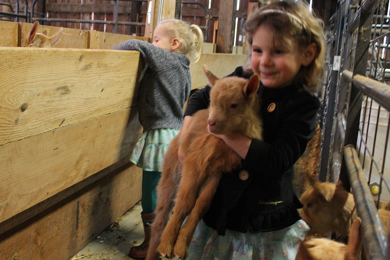 Kids of many kinds at North Whidbey Farm