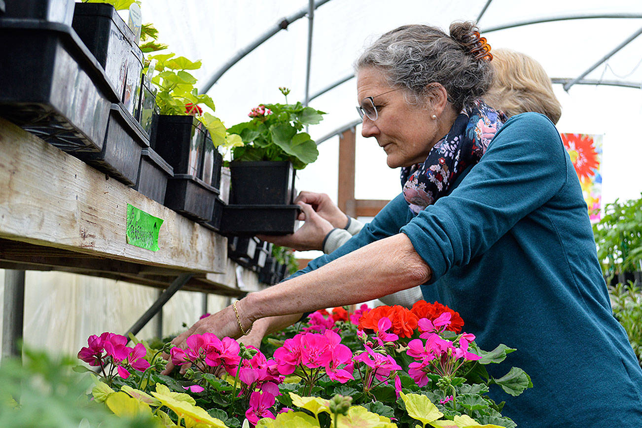 Plant sales a blooming bounty for garden clubs