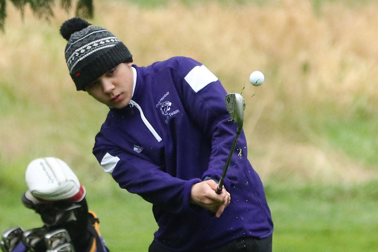 Wildcats fight weather, foes to finish 4th / Boys golf