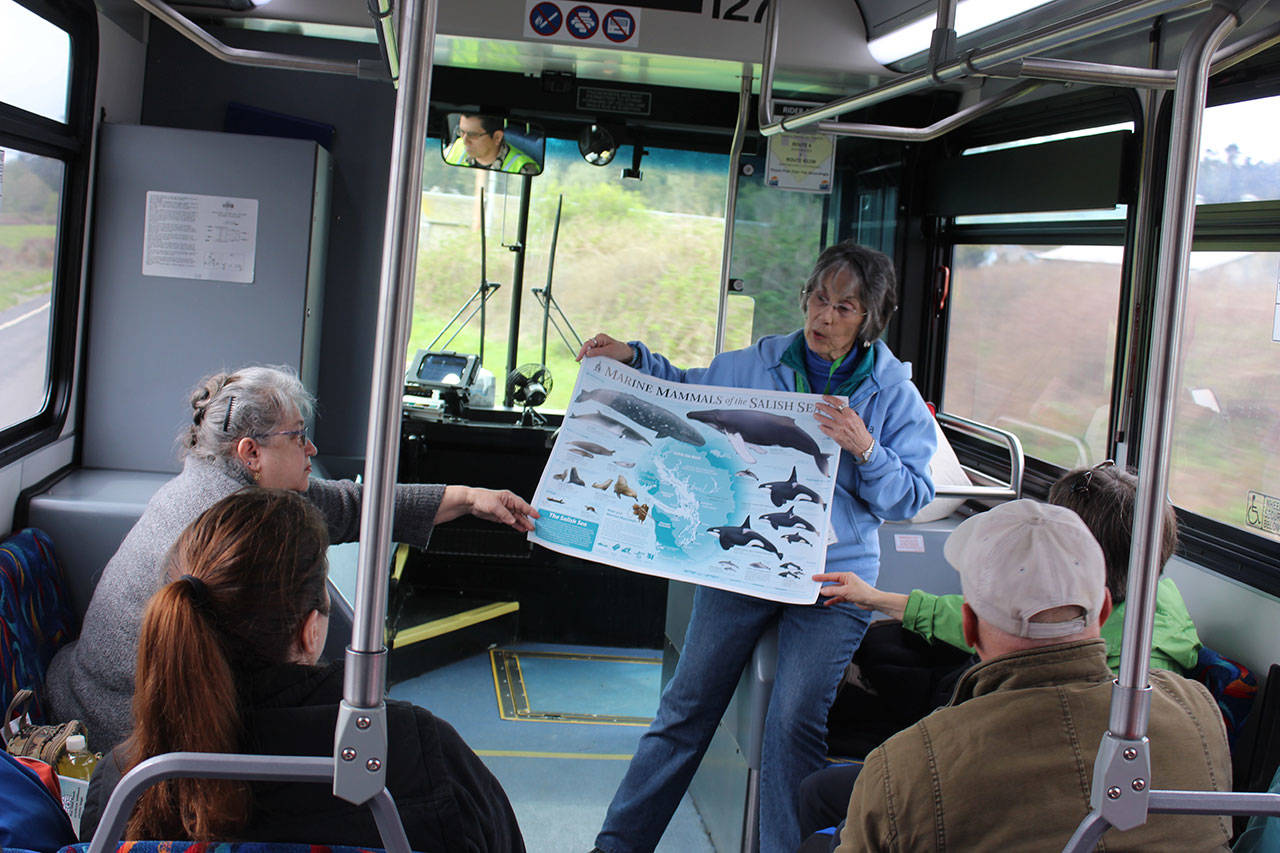 The second guided tour offered by Island County Transit featured a lesson about many Puget Sound marine mammals. Langley Whale Center Bonnie Gretz shared all kinds of facts with passengers on their way to Langley’s whale festival April 14. Photo by Patricia Guthrie/Whidbey News Group
