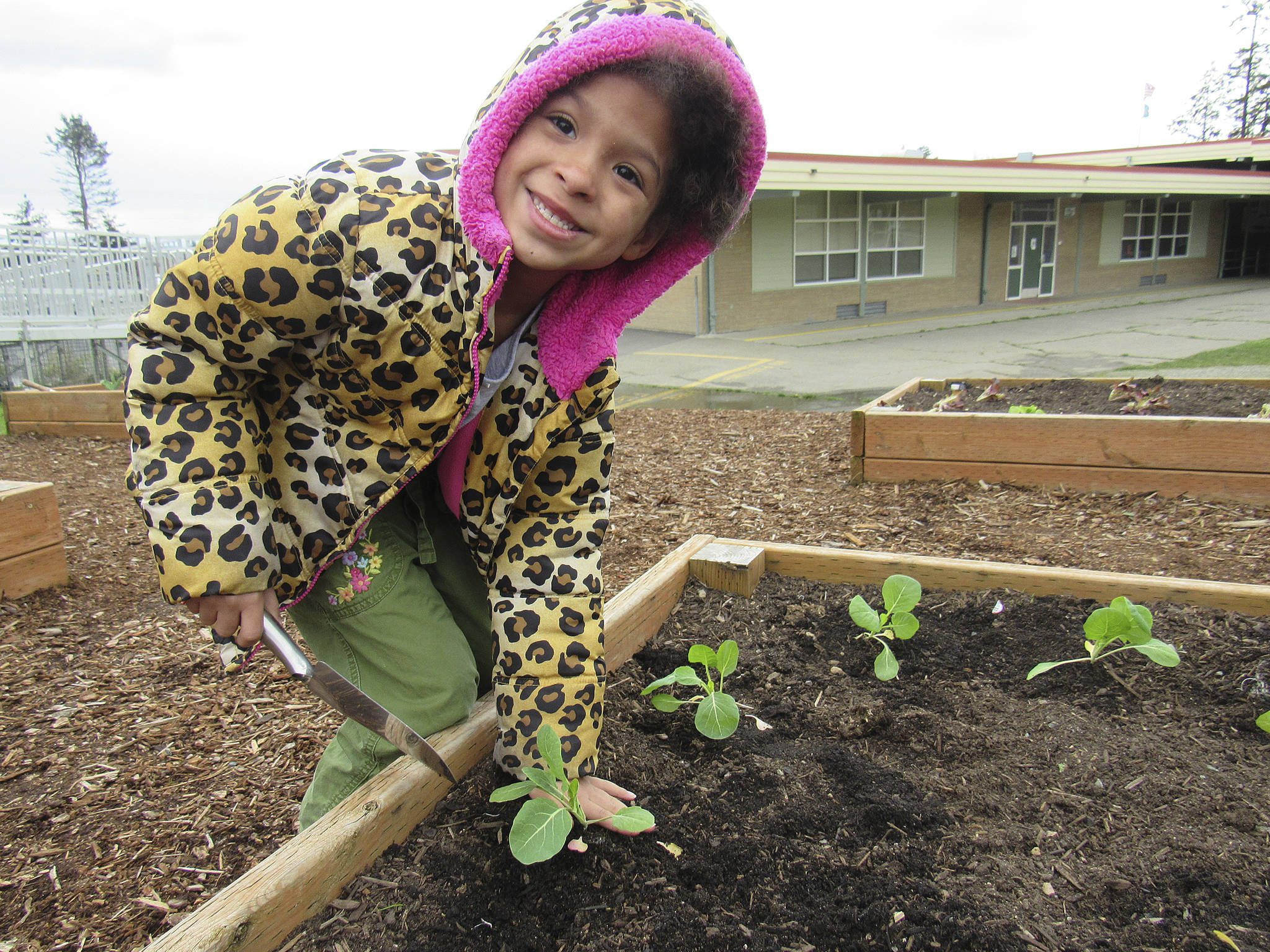 Photos provided                                Broad View Elementary School student Layla Williams plants vegetables in the school’s garden. Broad View was recently recognized nationally for its environmental and sustainability efforts.